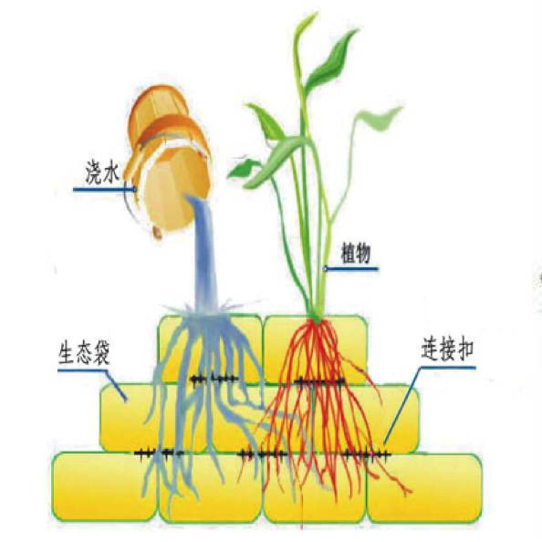 中小河道河流生态修复设计与施工 
Design & construction for mid-small river 
ecological restoration